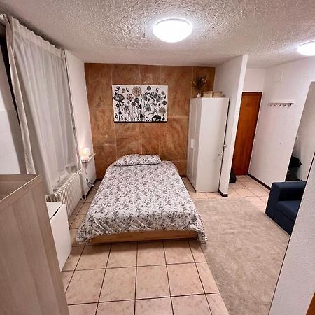 Cosy Apartment โลซาน ภายนอก รูปภาพ