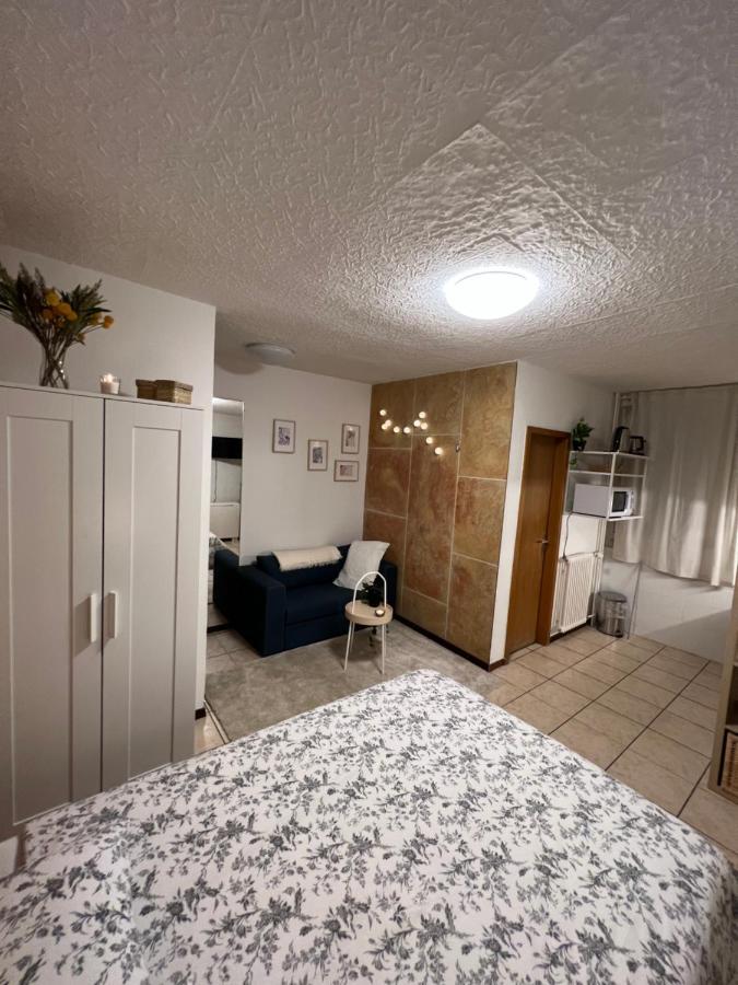 Cosy Apartment โลซาน ภายนอก รูปภาพ
